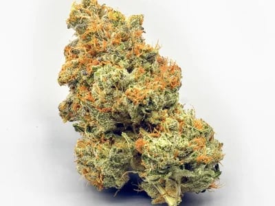 Was macht Cannabis Sativa so besonders?
