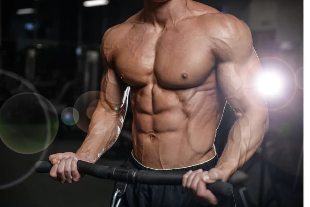 Pre Workout: Warum ein guter Pre-Workout-Booster entscheidend ist