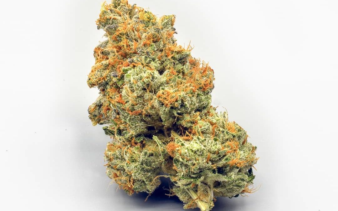 Was macht Cannabis Sativa so besonders?