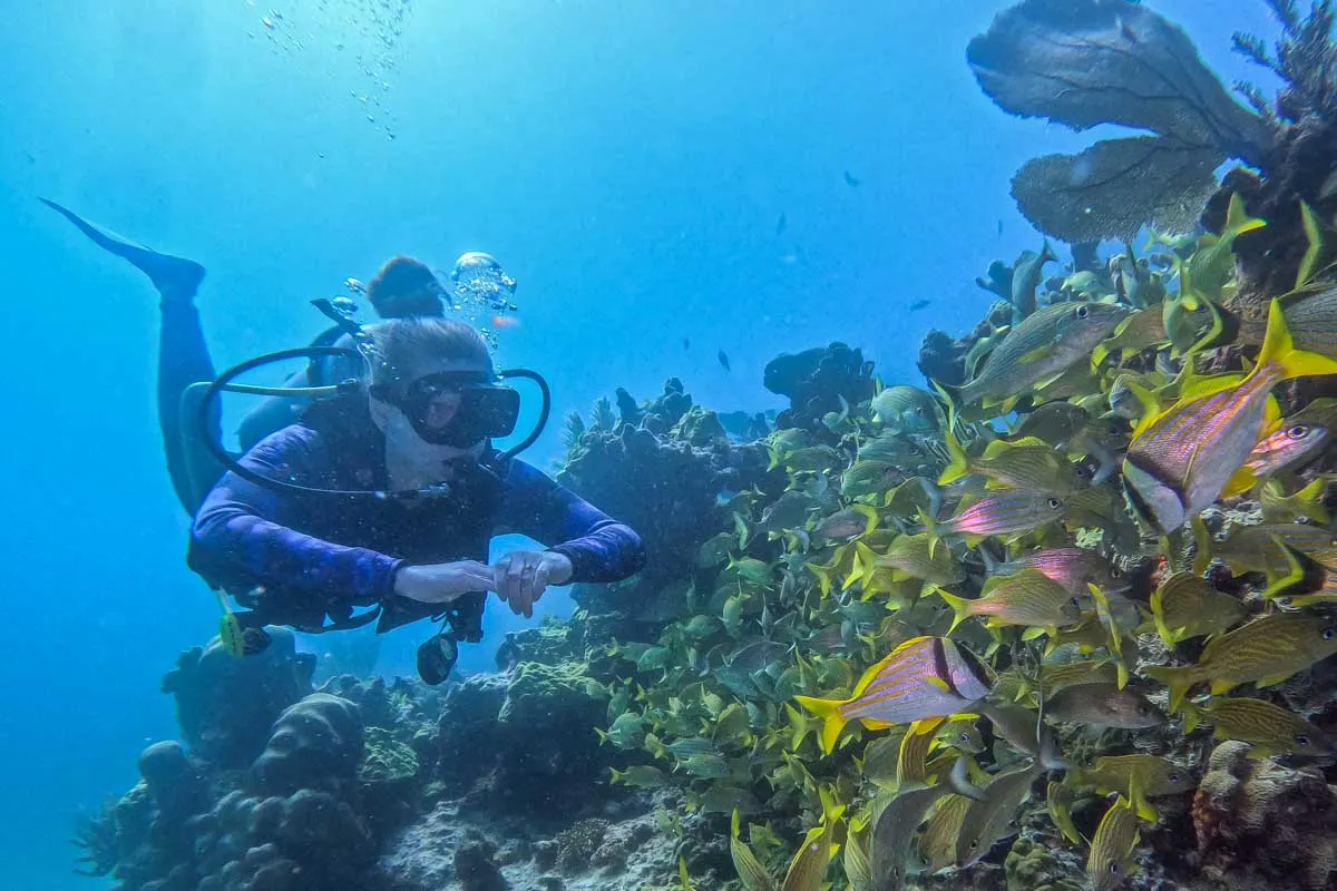 Tauchschule Playa del Carmen: Deutschsprachige Dive-Guides inklusive