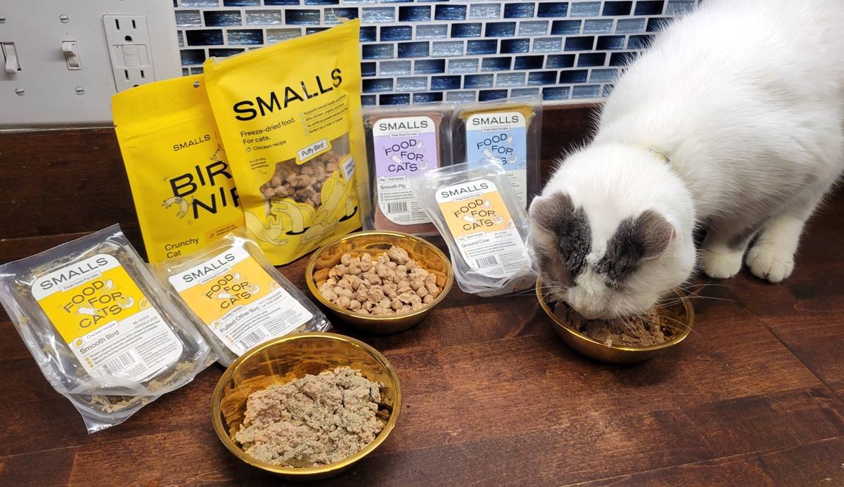 Made by Nacho Cat Food Review: Cat-Approved Taste Test