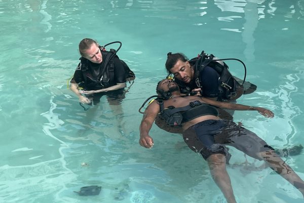 Tauchschule Playa del Carmen: Deutschsprachige Dive-Guides inklusive