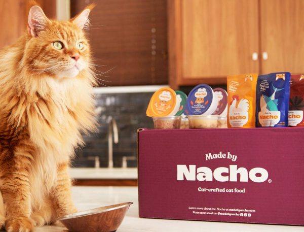 Made by Nacho Cat Food Review: Cat-Approved Taste Test