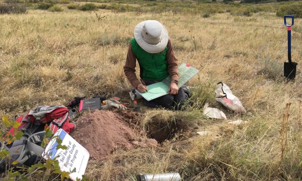 Bodenrisiken erkennen durch ein qualifiziertes Bodengutachten